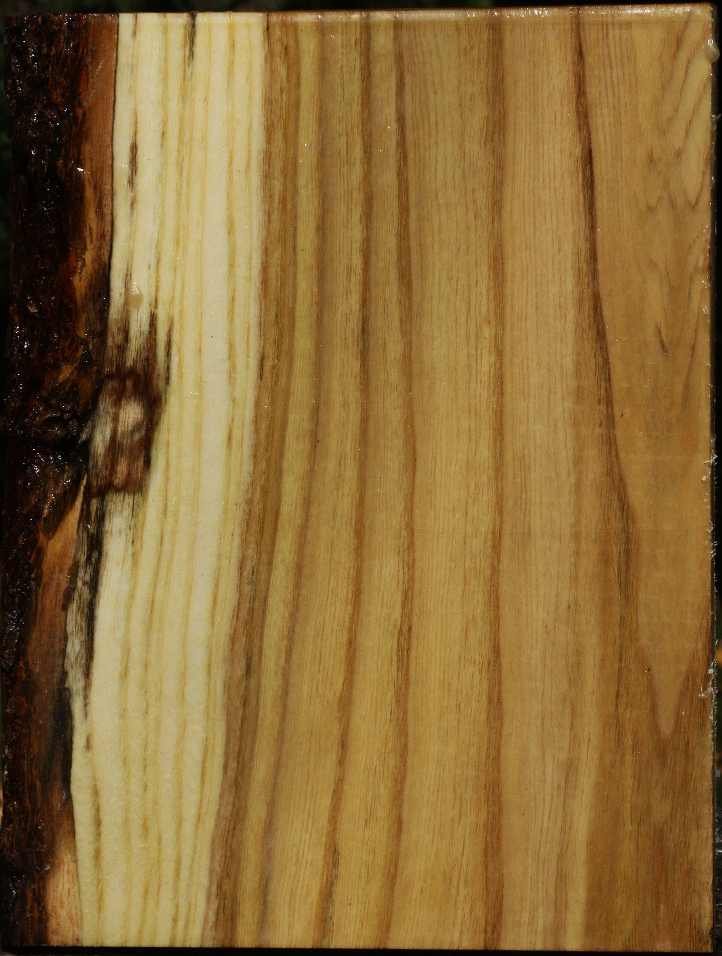 Mulberry Vessel Blank