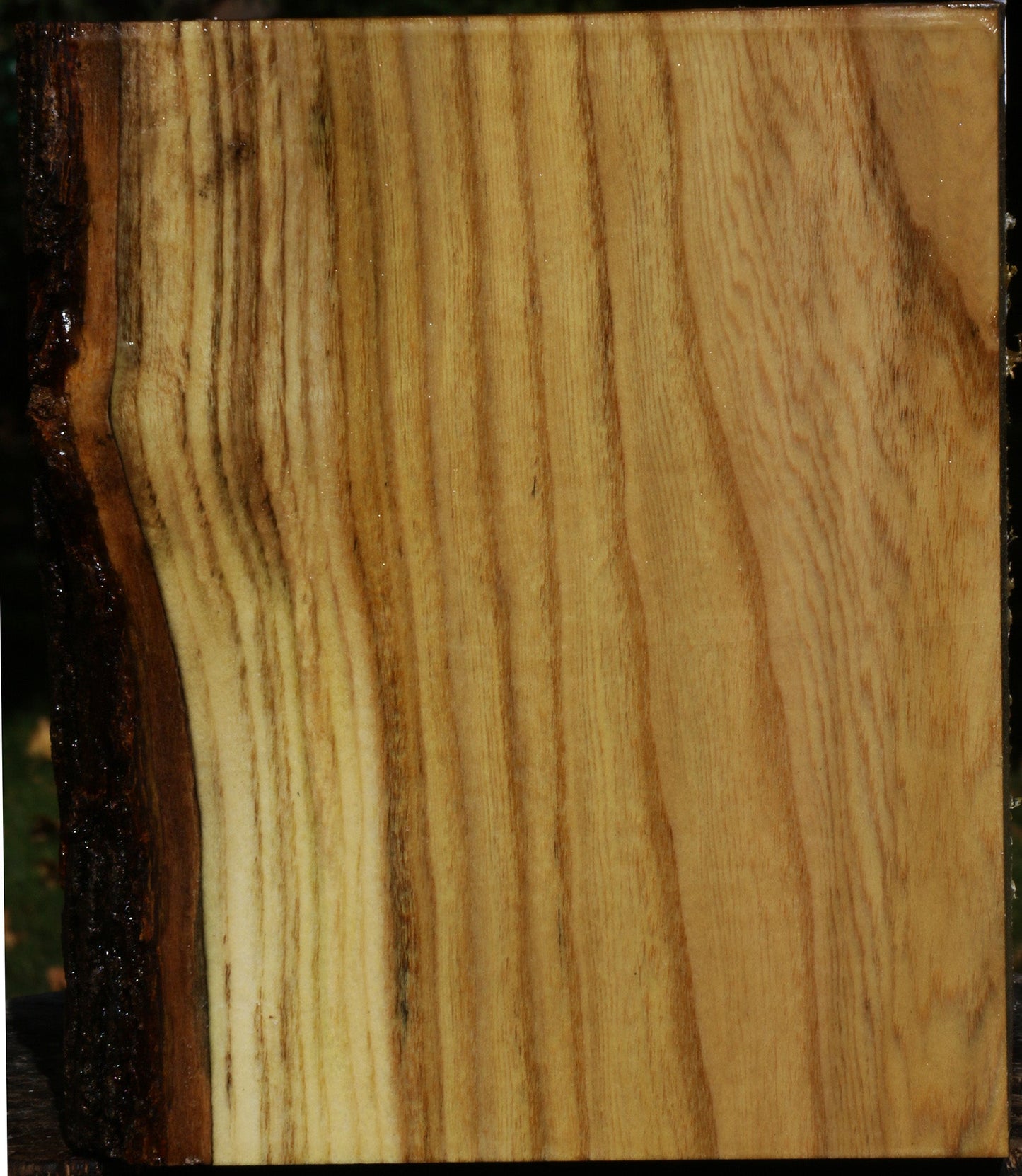 Mulberry Vessel Blank