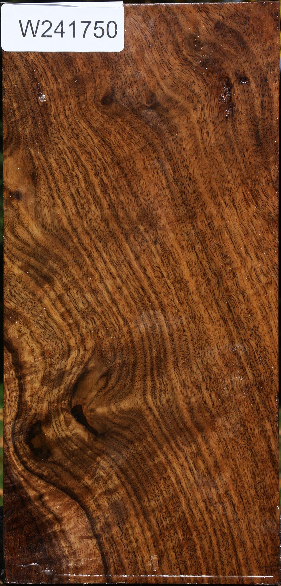 Figured Claro Walnut Vessel Blank