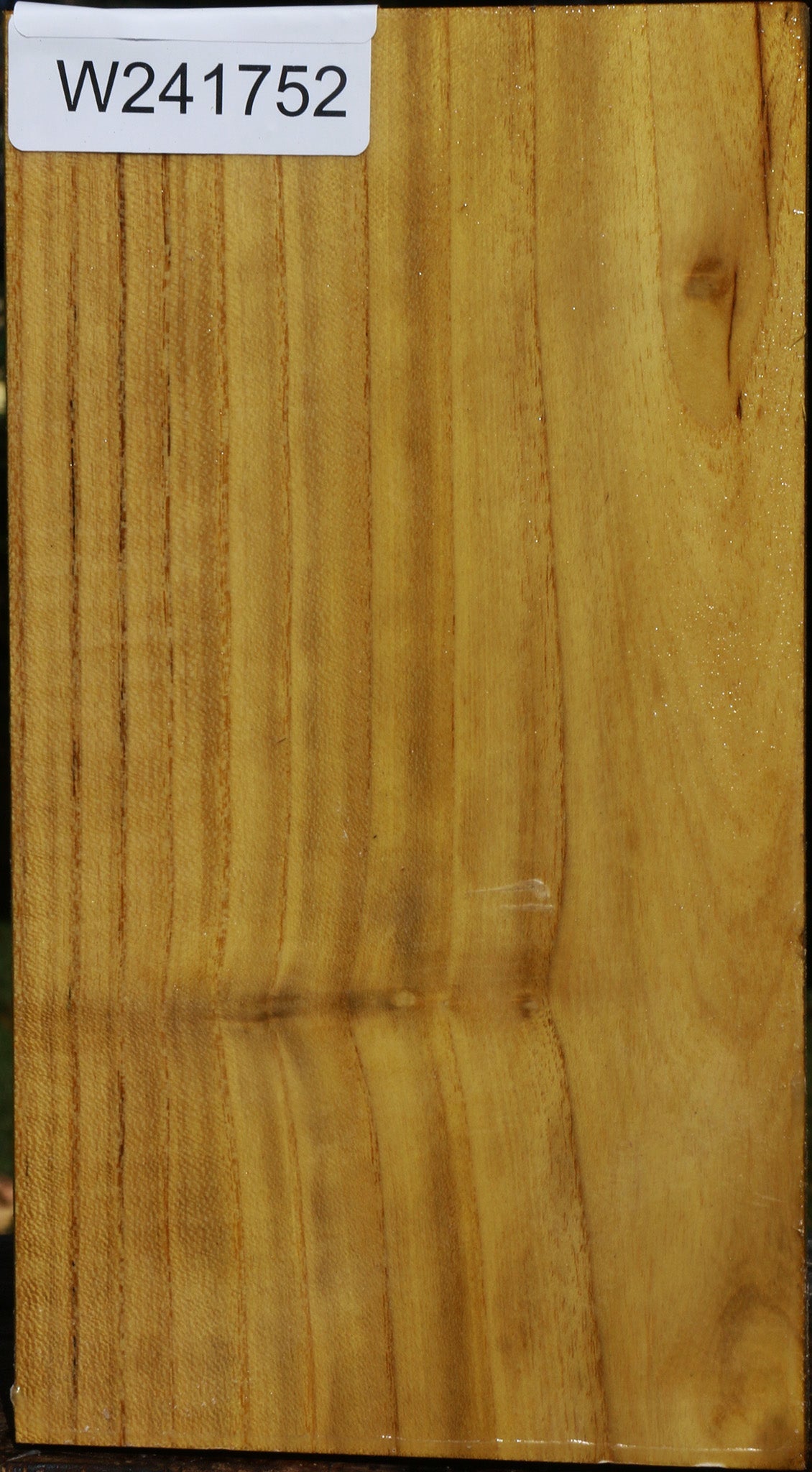 Mulberry Vessel Blank