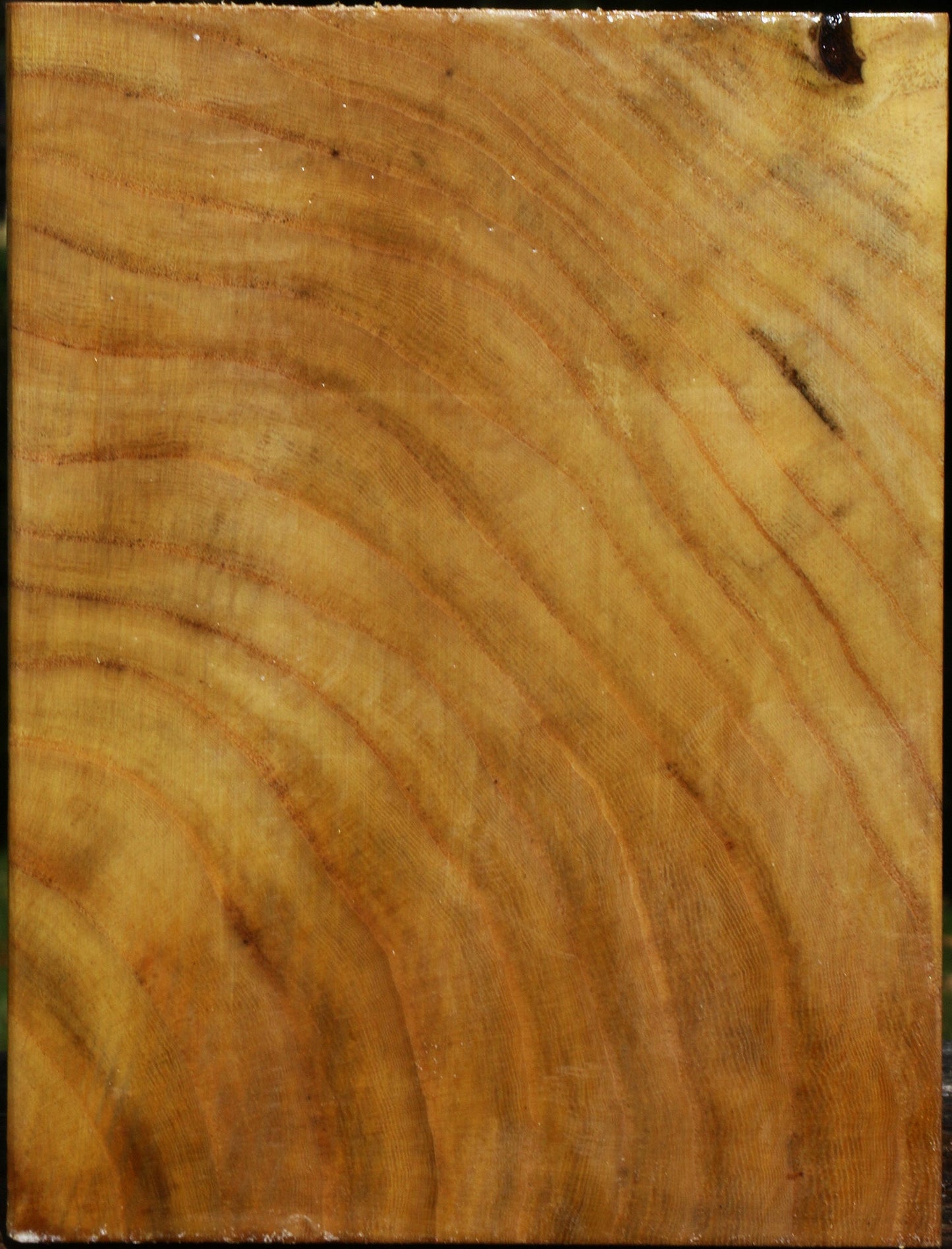 Mulberry Turning Square