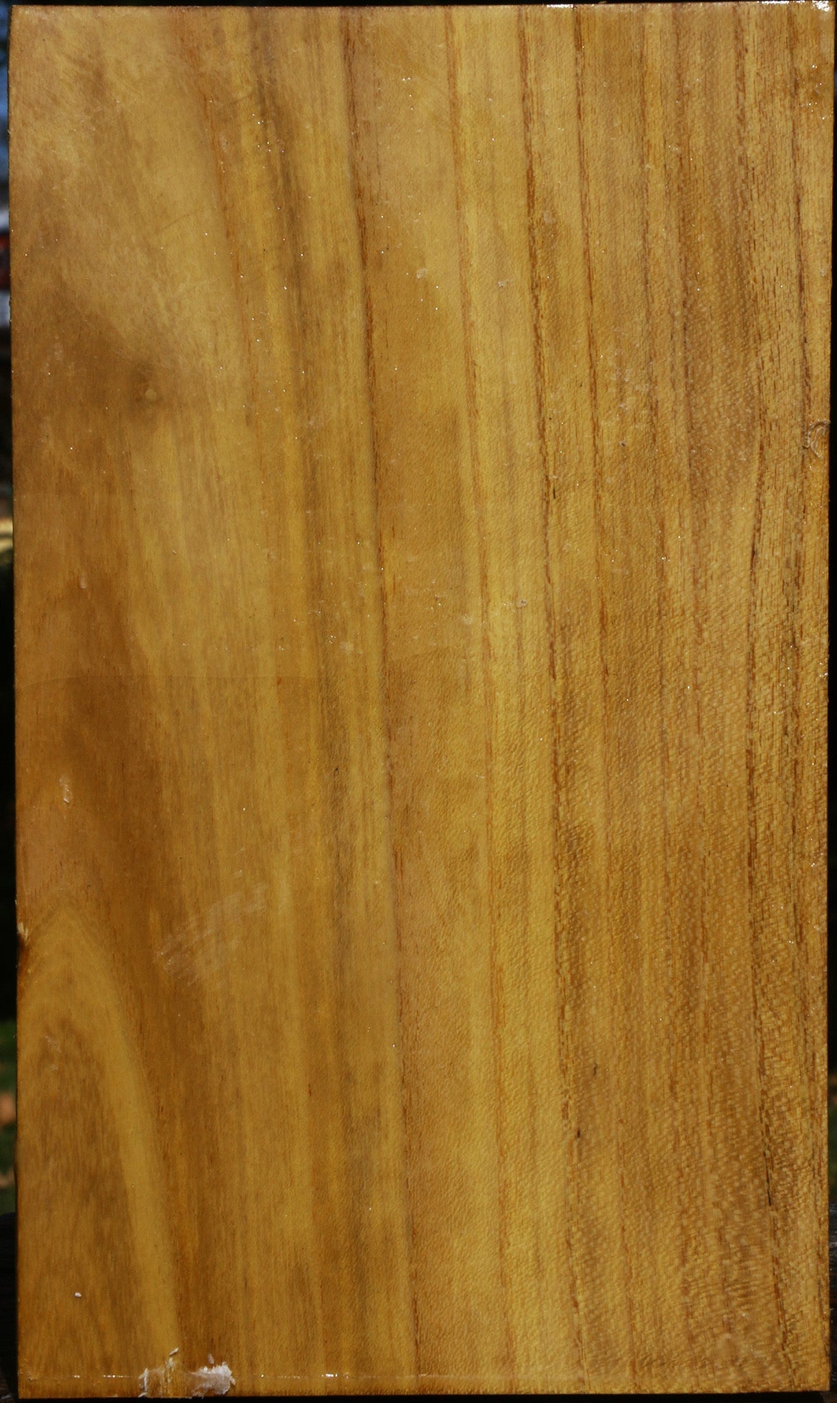 Mulberry Vessel Blank