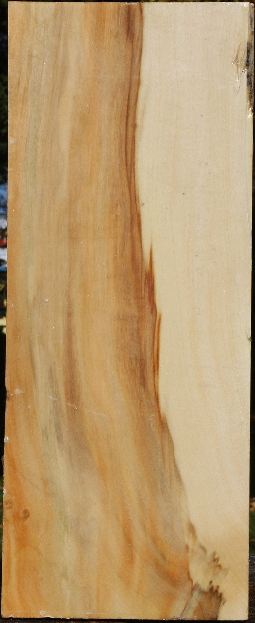 Extra Fancy Box Elder Vessel Blank