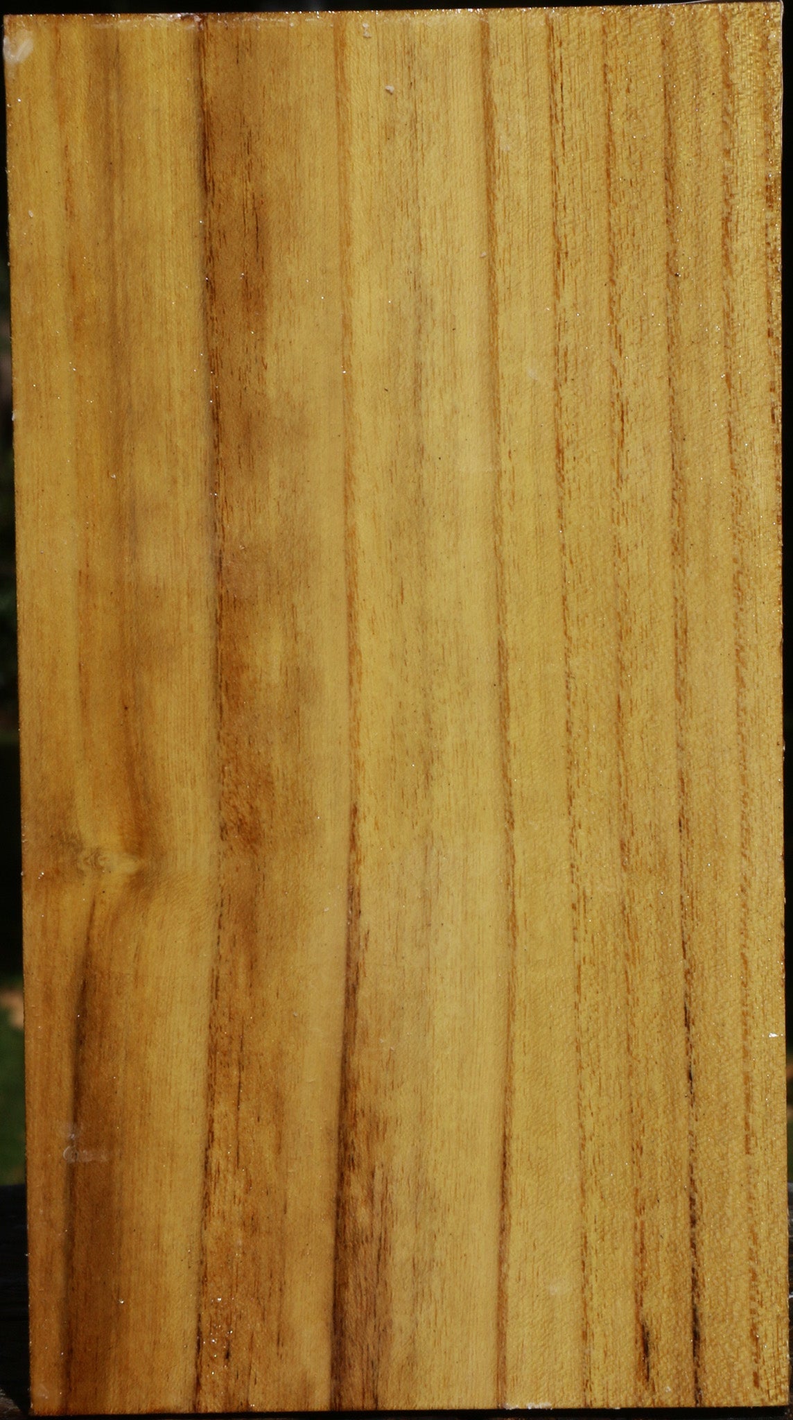 Mulberry Vessel Blank