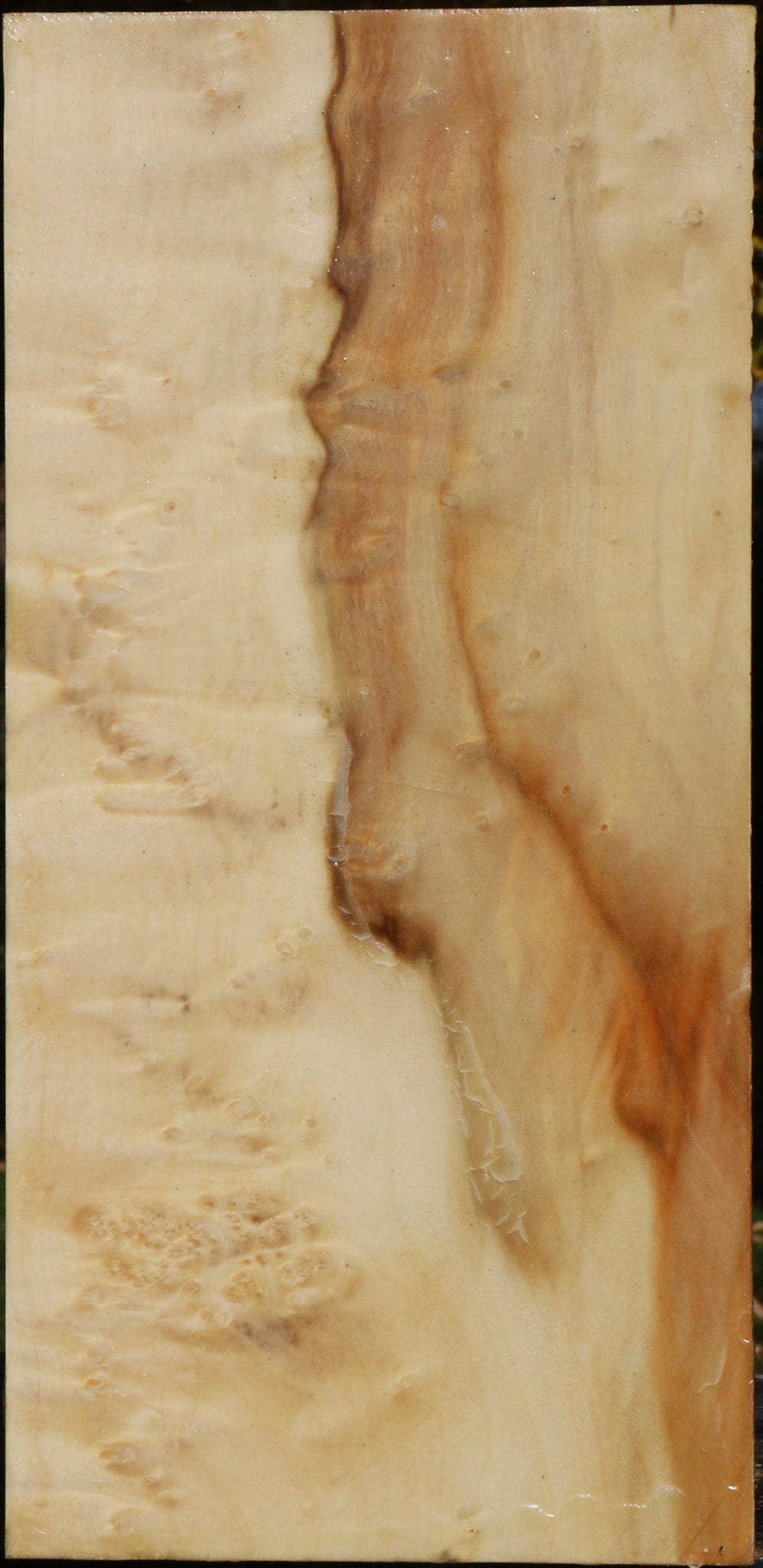 Box Elder Vessel Blank