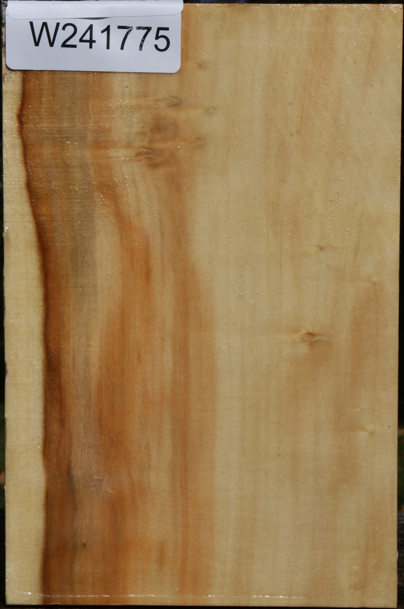 Figured Box Elder Vessel Blank