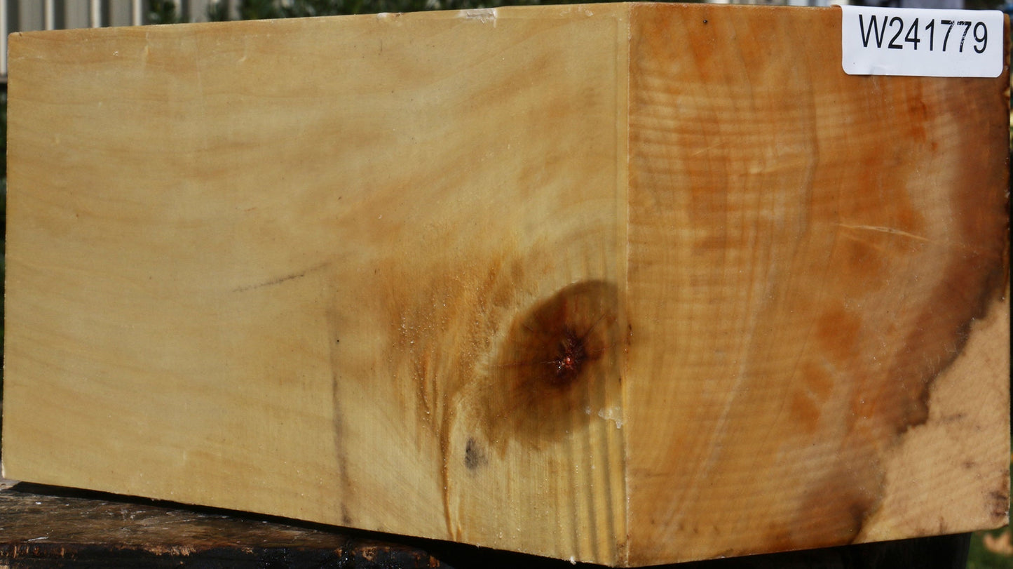 Extra Fancy Box Elder Vessel Blank