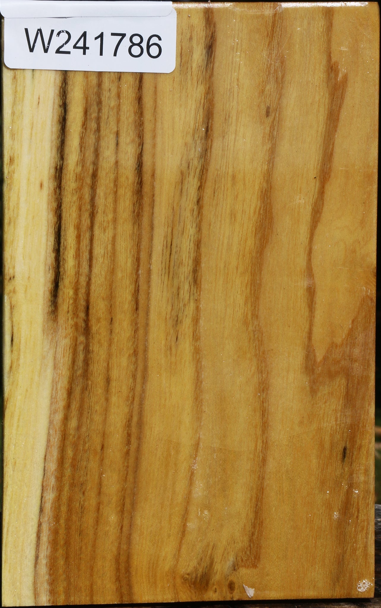 Mulberry Vessel Blank