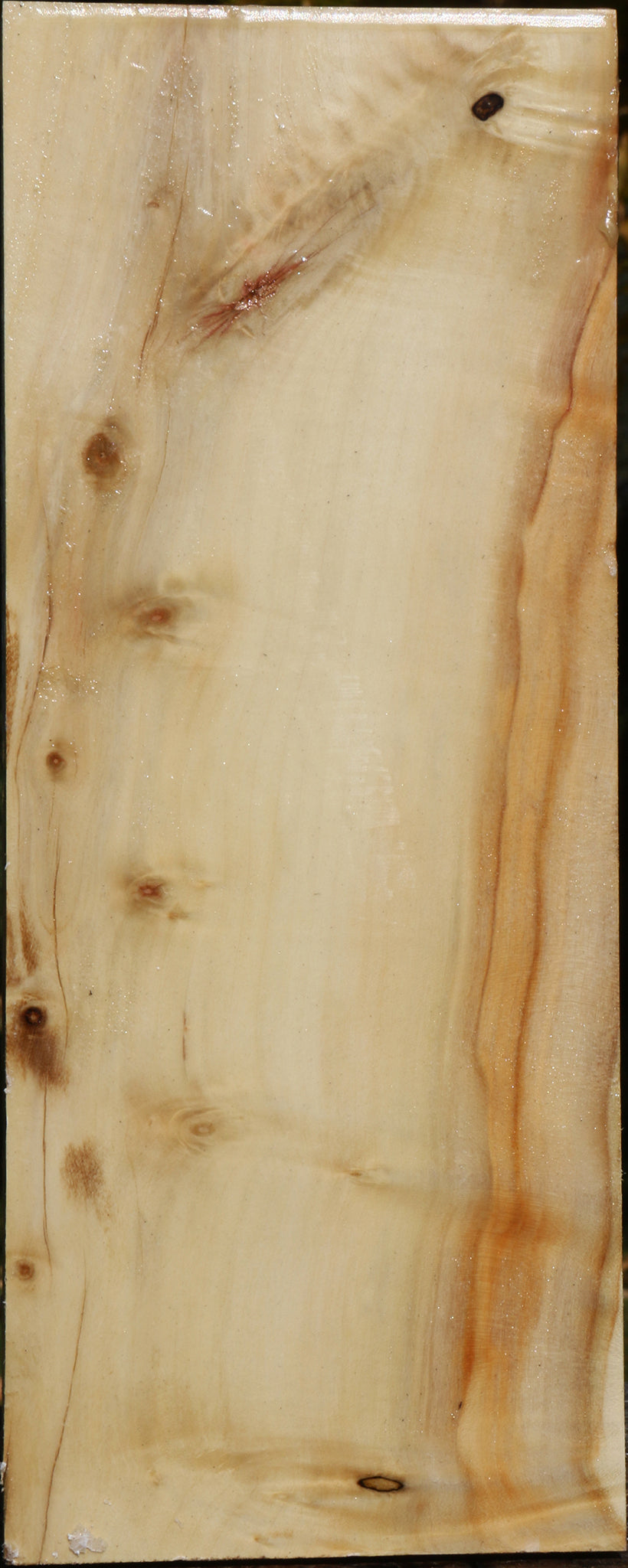 Extra Fancy Box Elder Vessel Blank