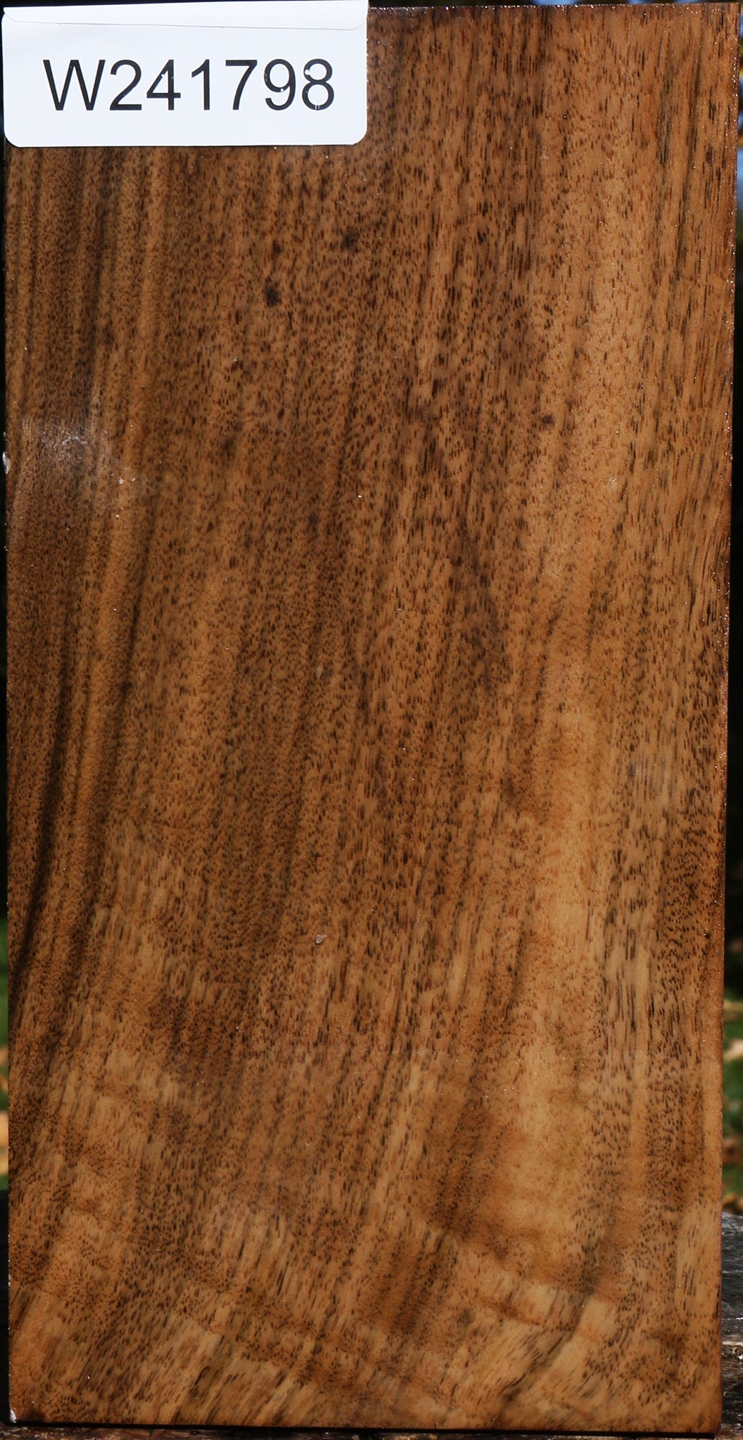 Claro Walnut Vessel Blank