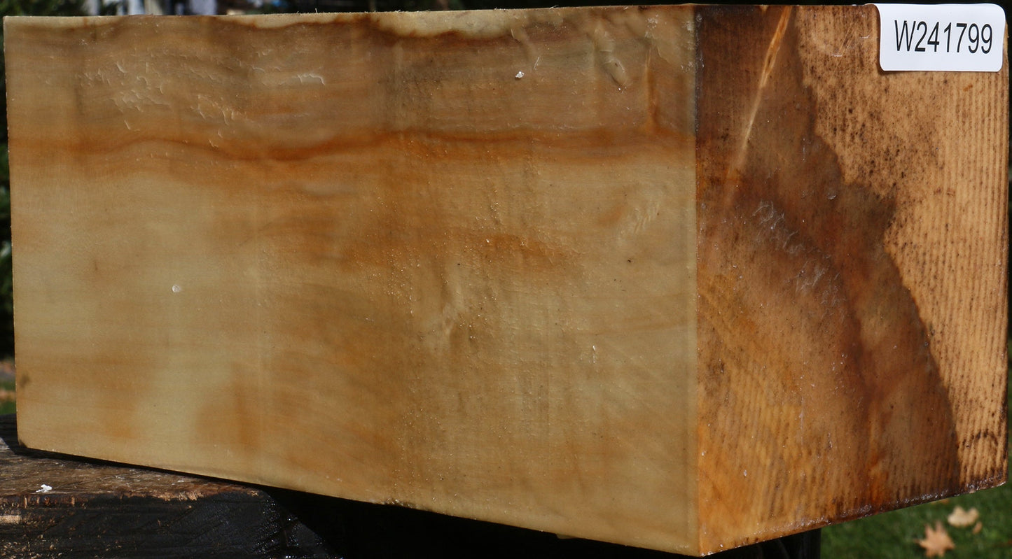 Box Elder Vessel Blank