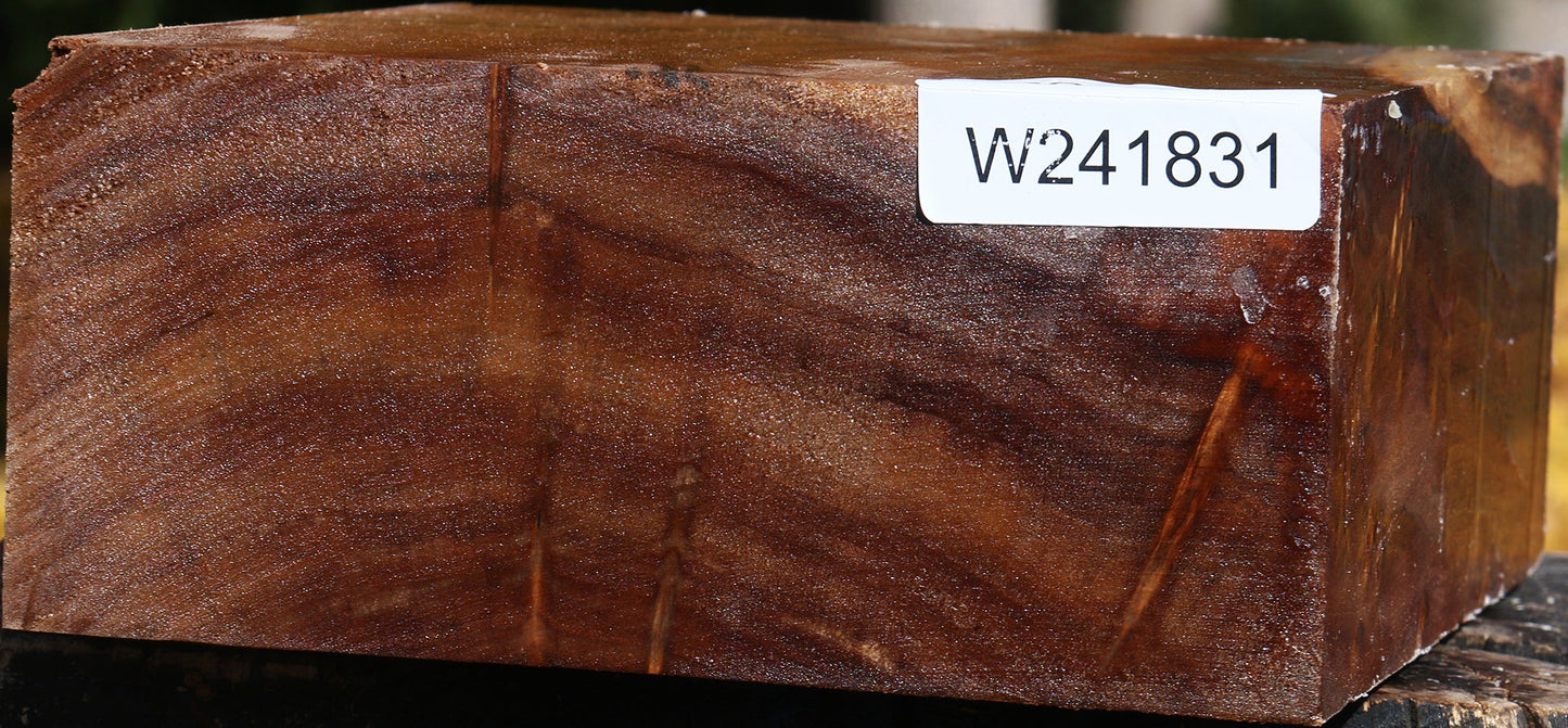 California Cottonwood Bowl Blank