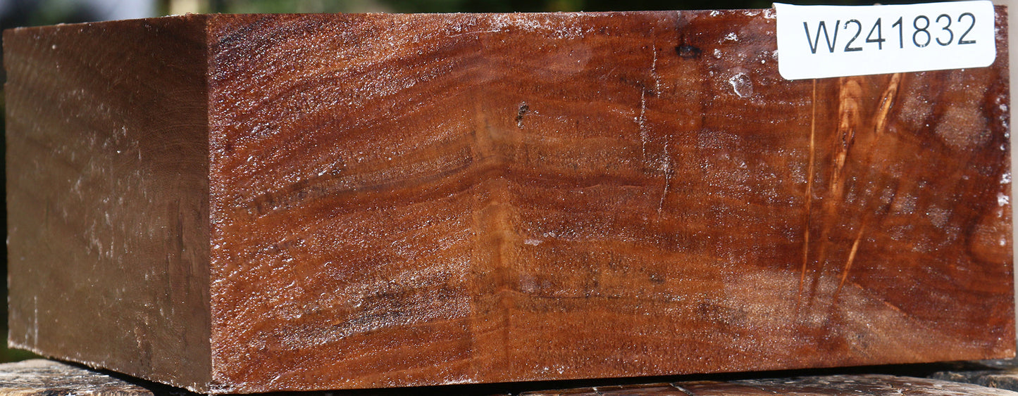 California Cottonwood Bowl Blank