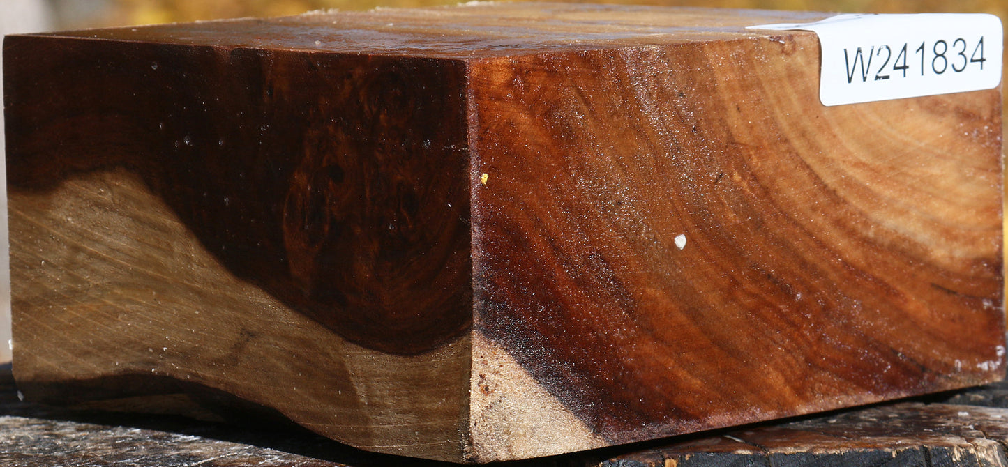 Figured California Cottonwood Bowl Blank