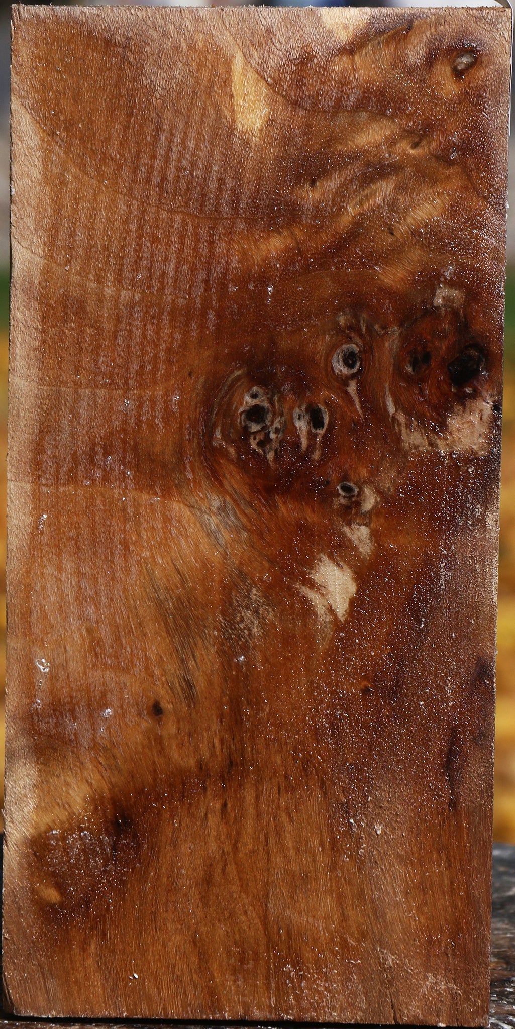 Figured California Cottonwood Turning Square