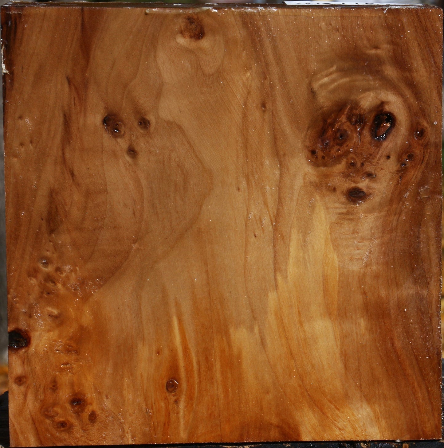 Figured California Cottonwood Bowl Blank