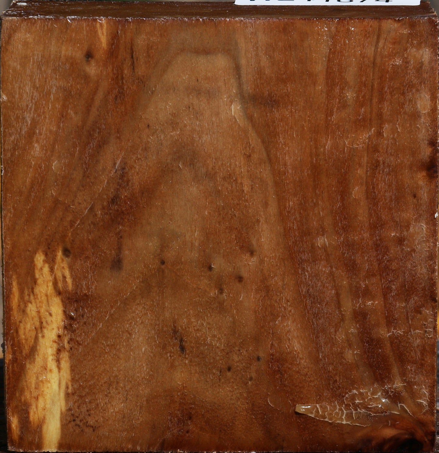 California Cottonwood Bowl Blank