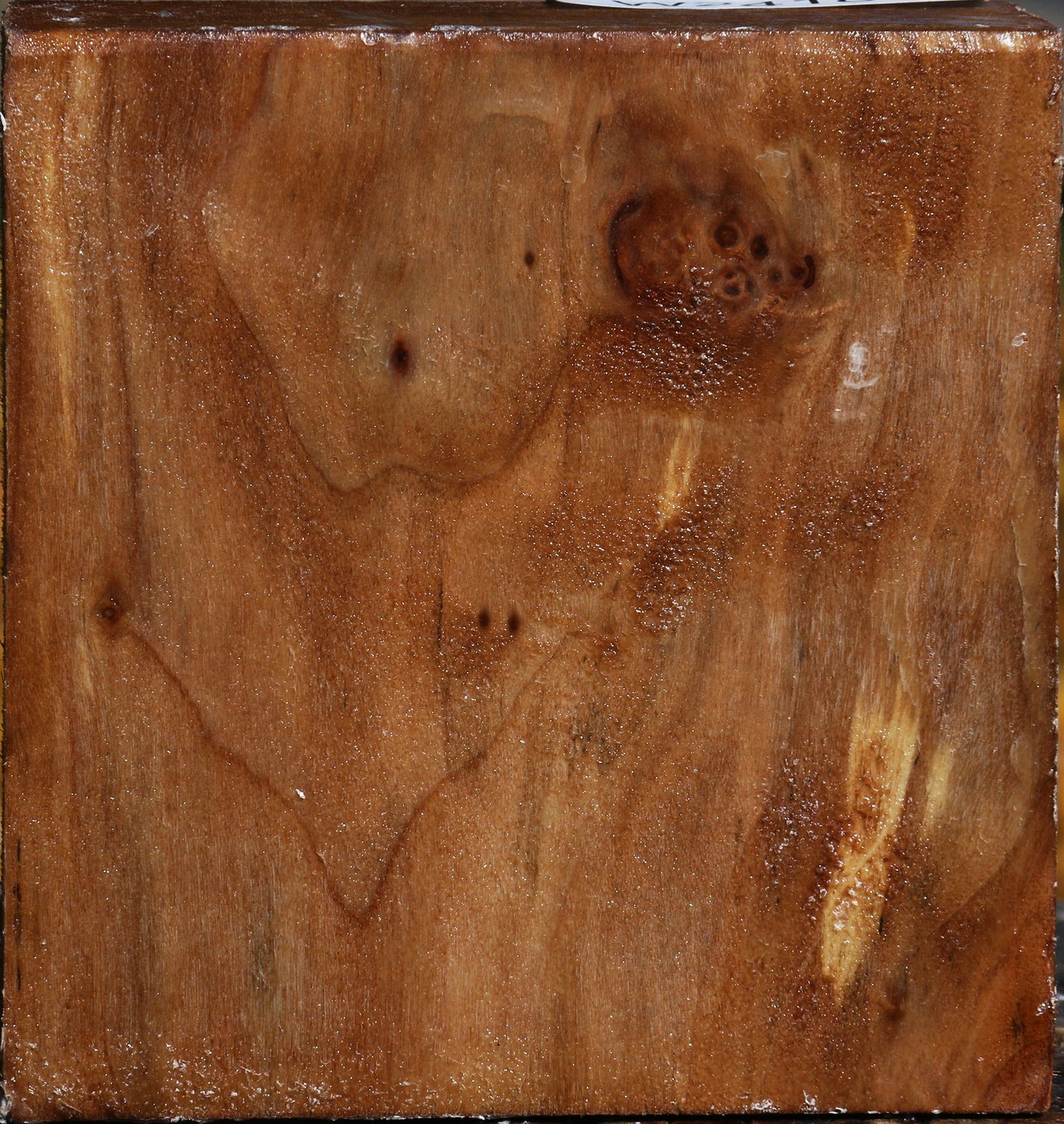 California Cottonwood Bowl Blank
