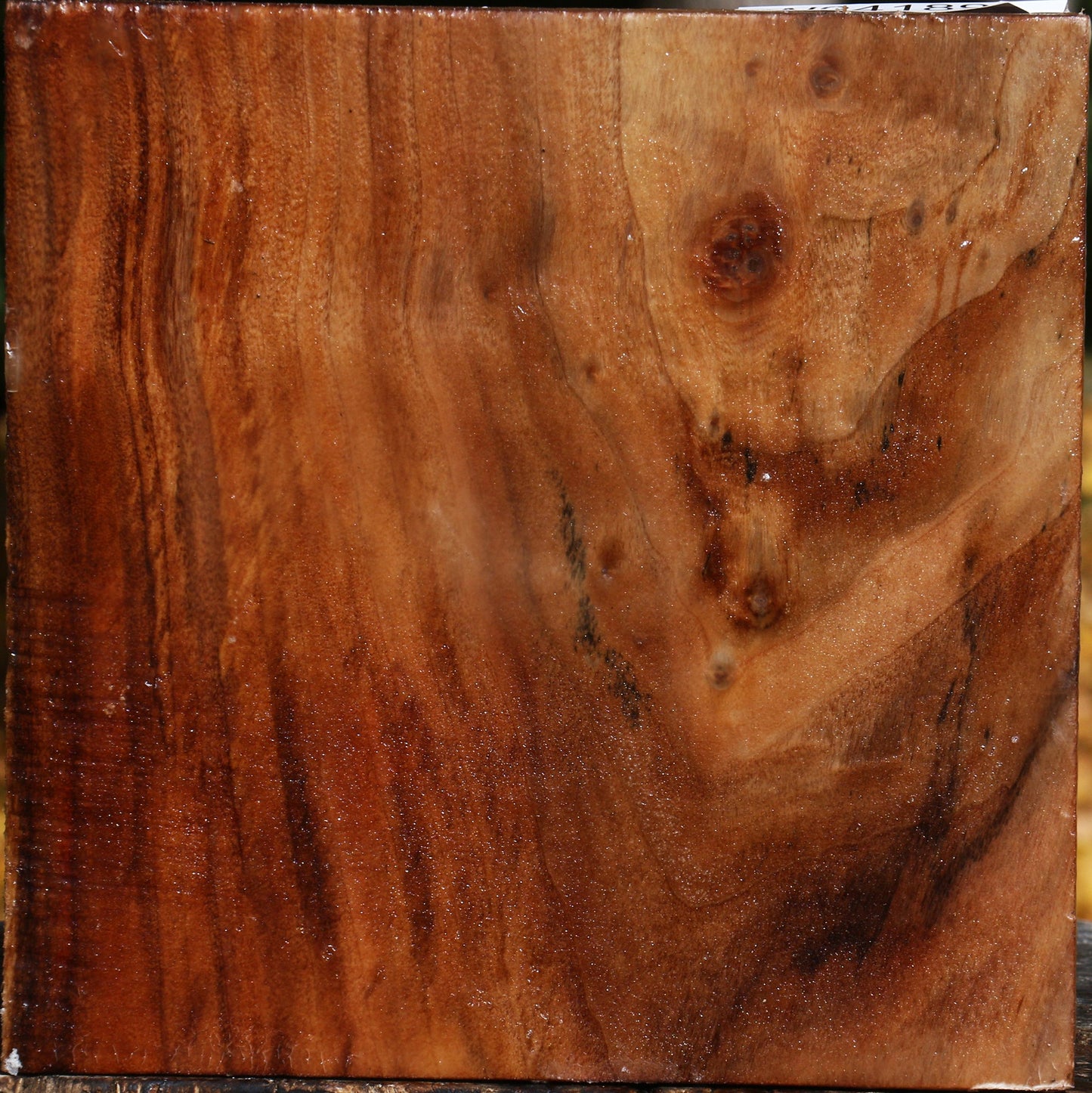 California Cottonwood Bowl Blank