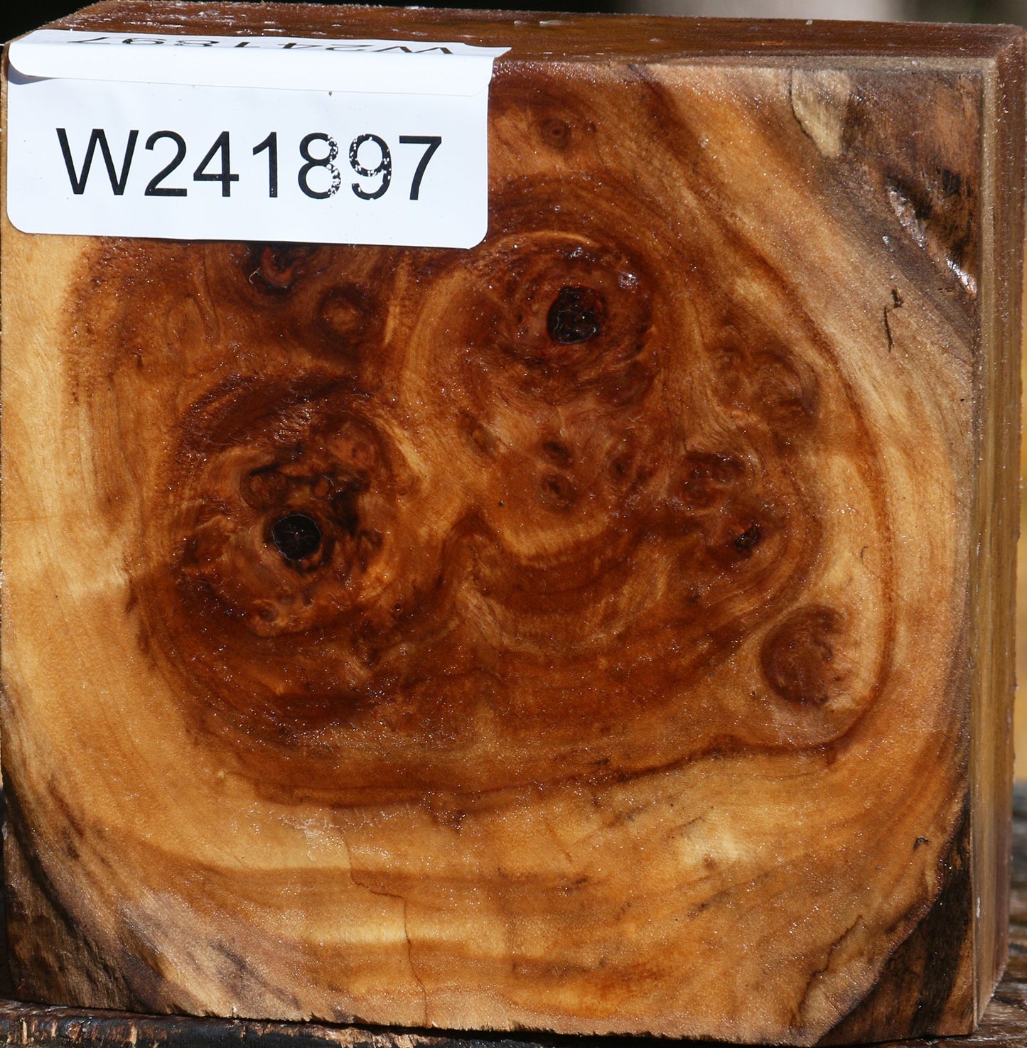 California Cottonwood Burl Bowl Blank