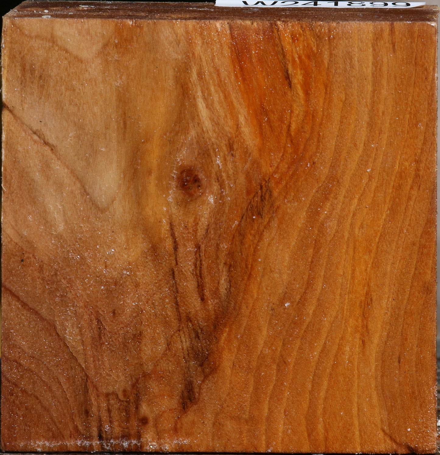 California Cottonwood Bowl Blank