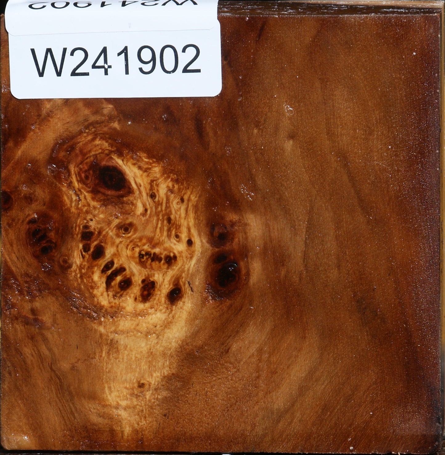 California Cottonwood Burl Bowl Blank