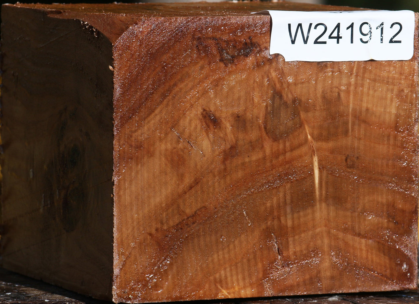 Figured California Cottonwood Bowl Blank