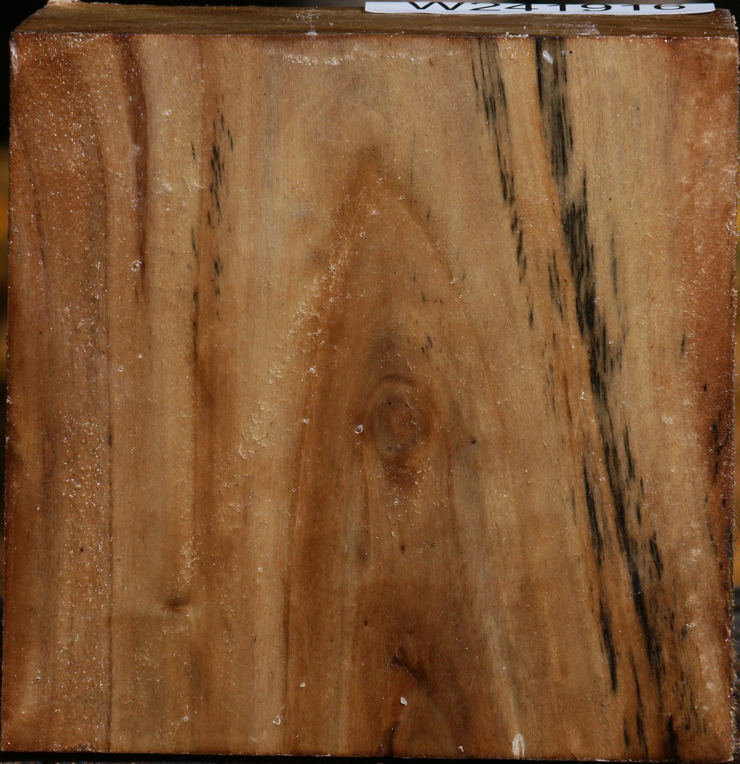 California Cottonwood Bowl Blank