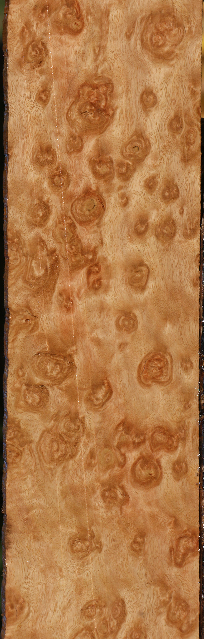 Exhibition Pomelle Eucalyptus Lumber