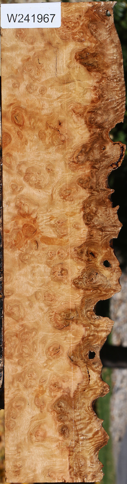 Exhibition Pomelle Eucalyptus Live Edge Lumber