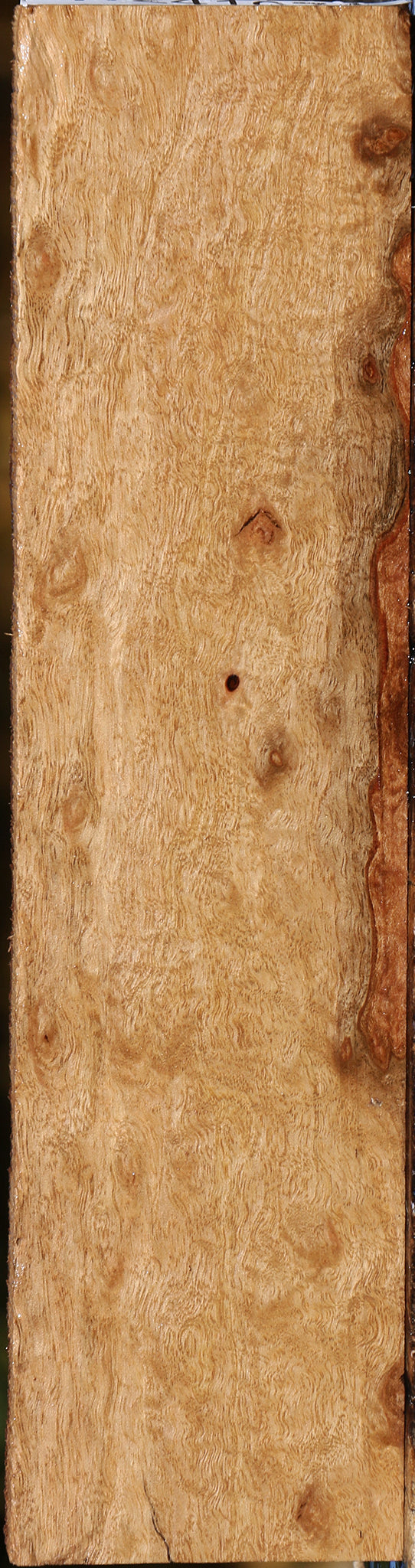 Extra Fancy Pomelle Eucalyptus Lumber