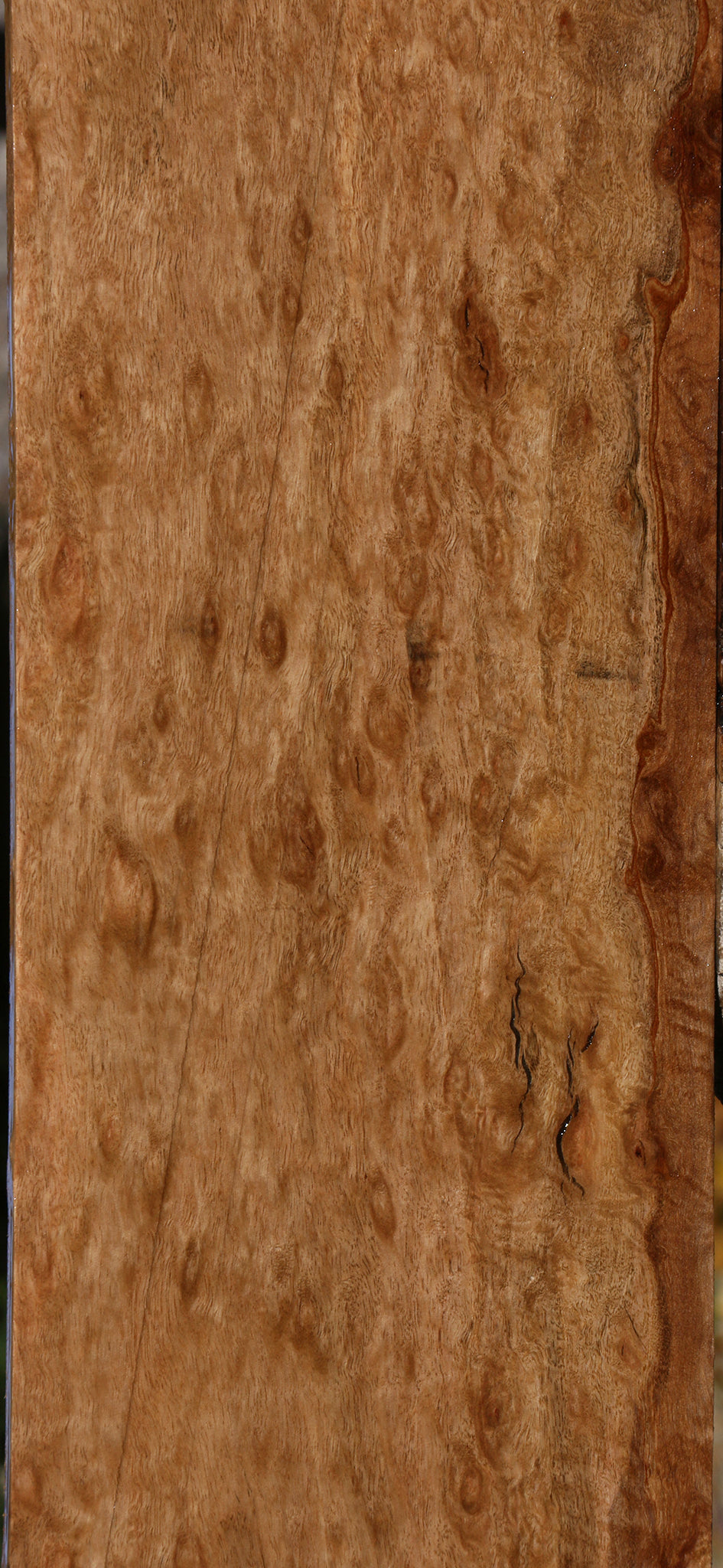 Extra Fancy Pomelle Eucalyptus Lumber