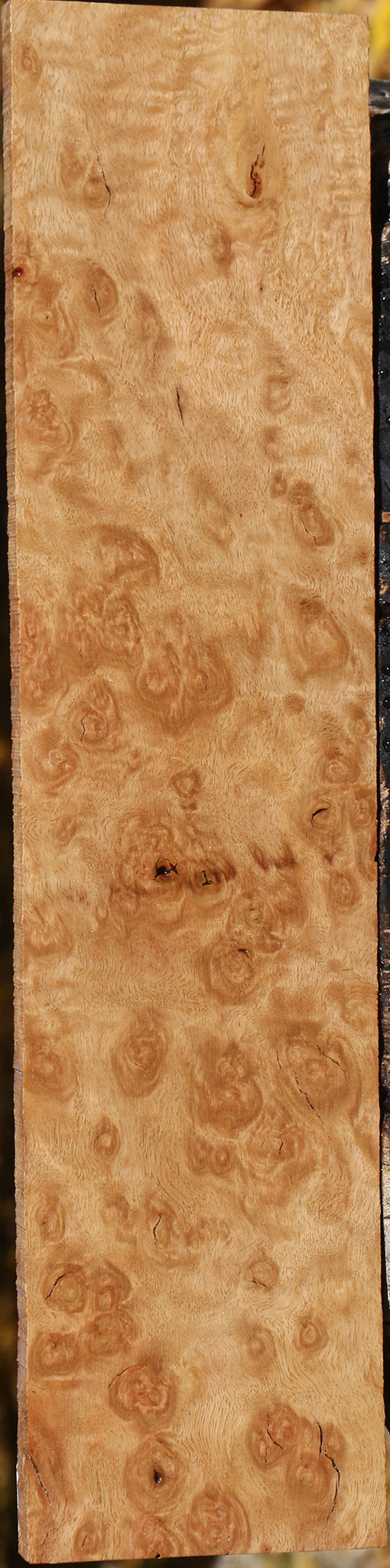 Extra Fancy Pomelle Eucalyptus Lumber