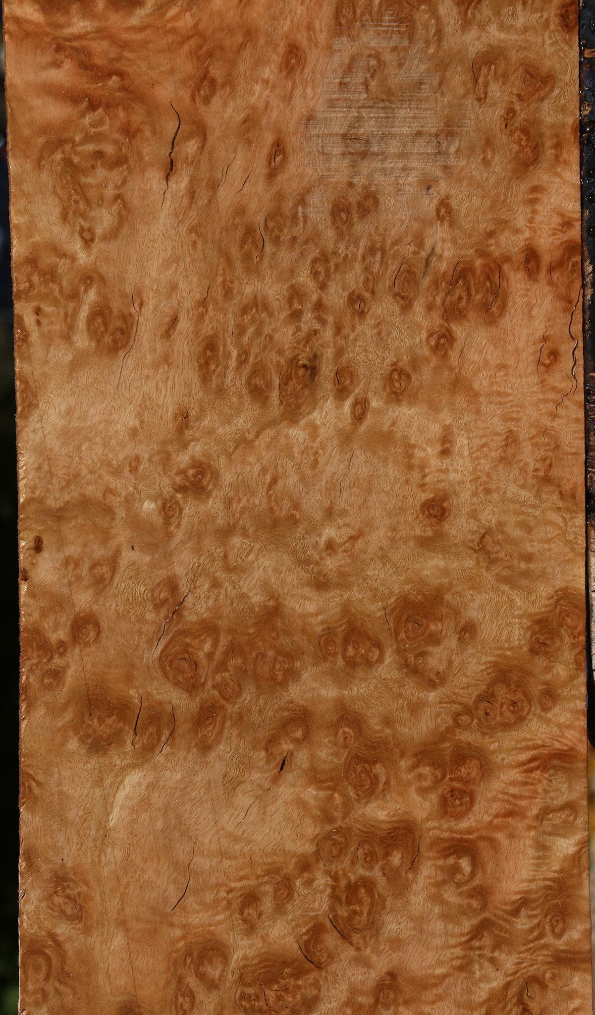 Extra Fancy Pomelle Eucalyptus Lumber