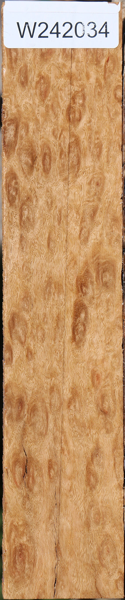 Exhibition Pomelle Eucalyptus Lumber