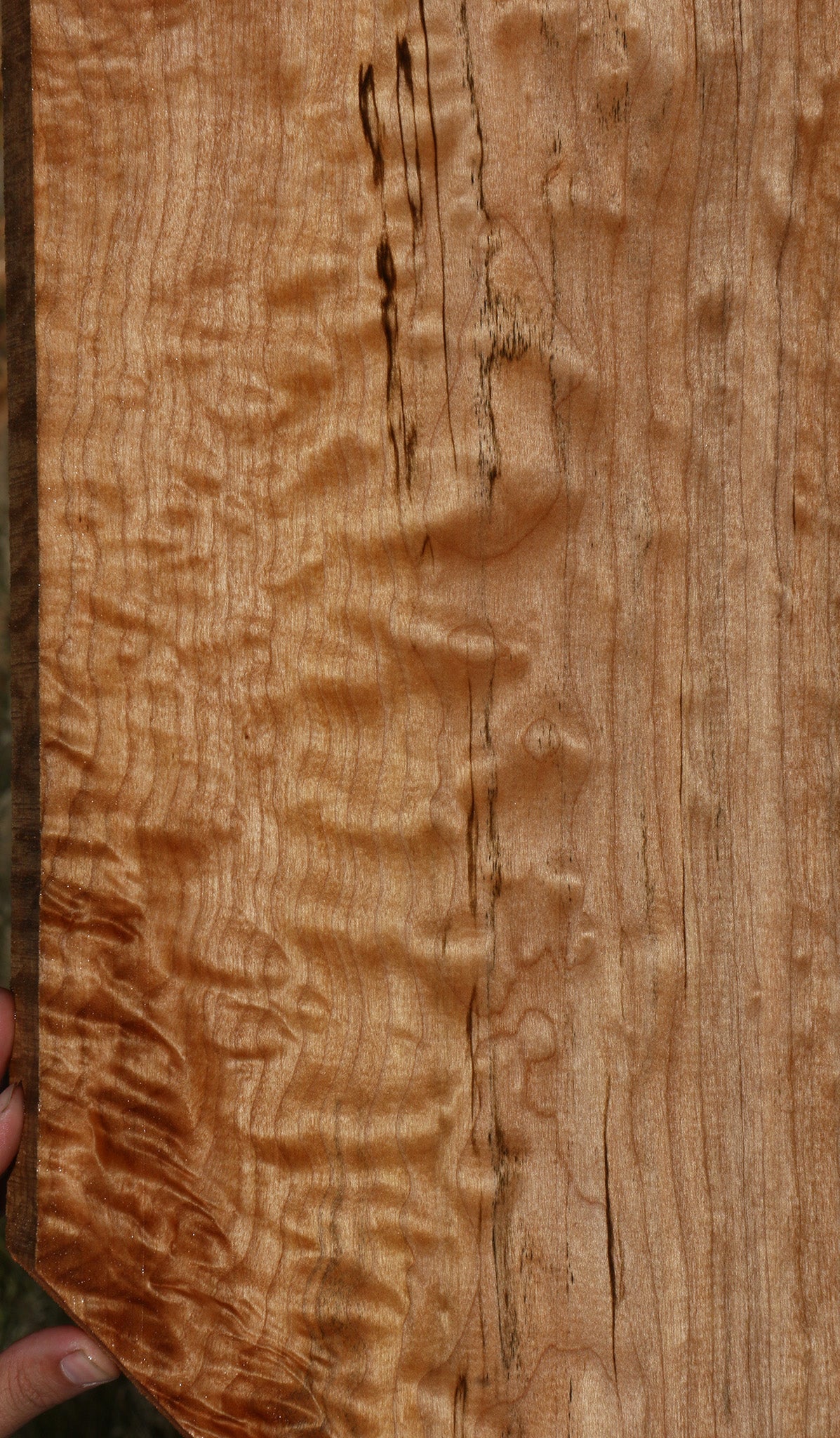 AAA Quilted Maple Instrument Lumber