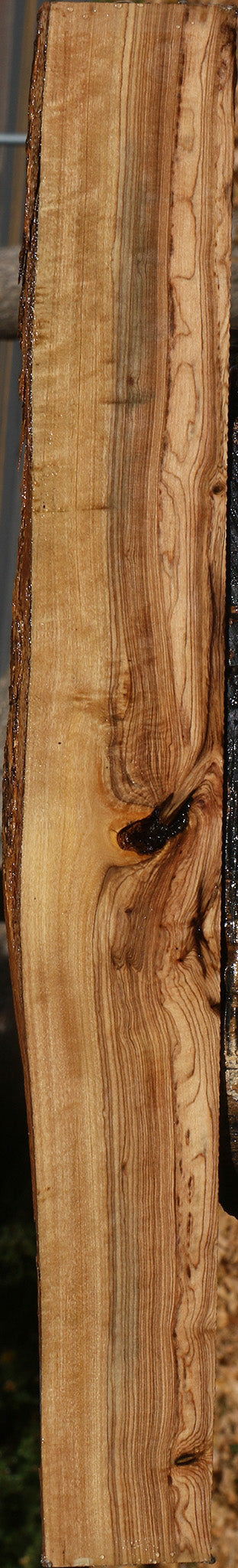 Figured African Olive Live Edge Lumber
