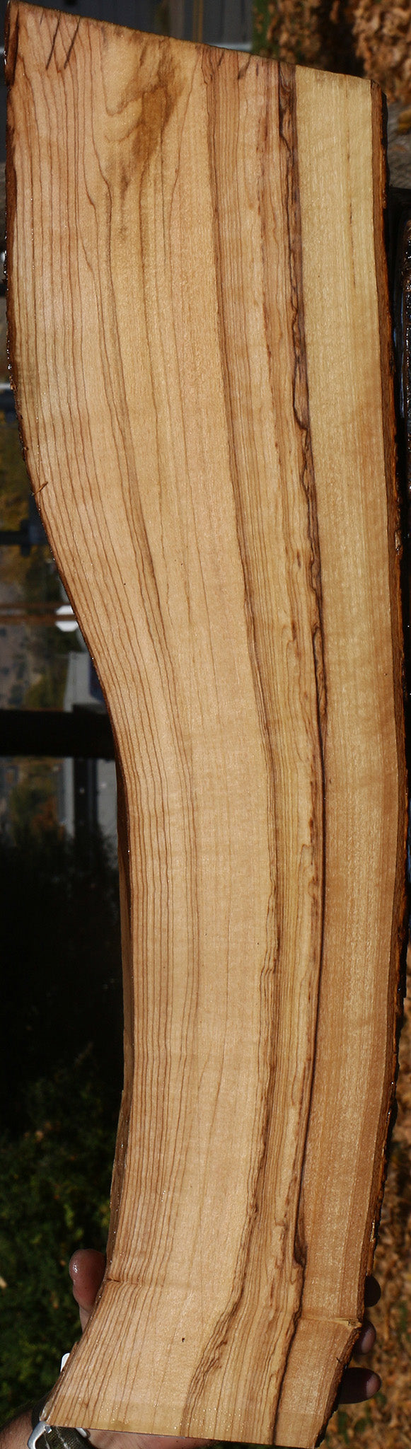 Figured African Olive Live Edge Lumber