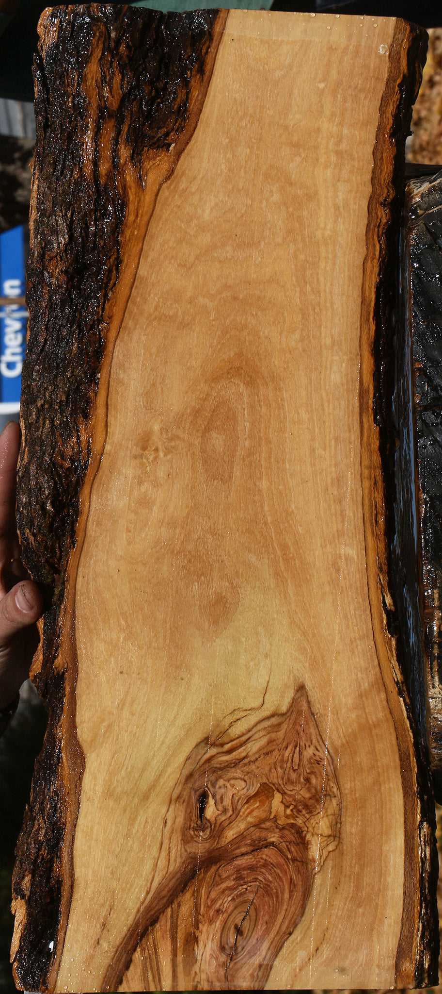 Figured African Olive Live Edge Lumber