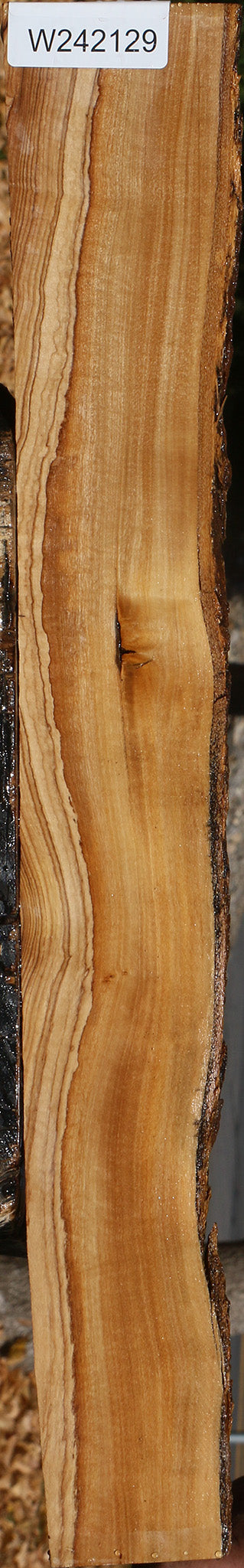 African Olive Live Edge Lumber