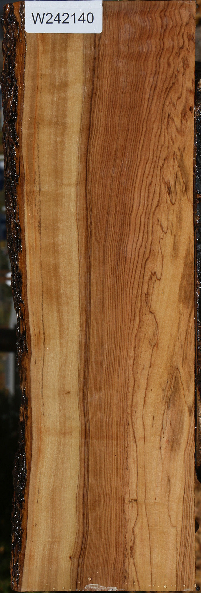 Extra Fancy African Olive Live Edge Lumber