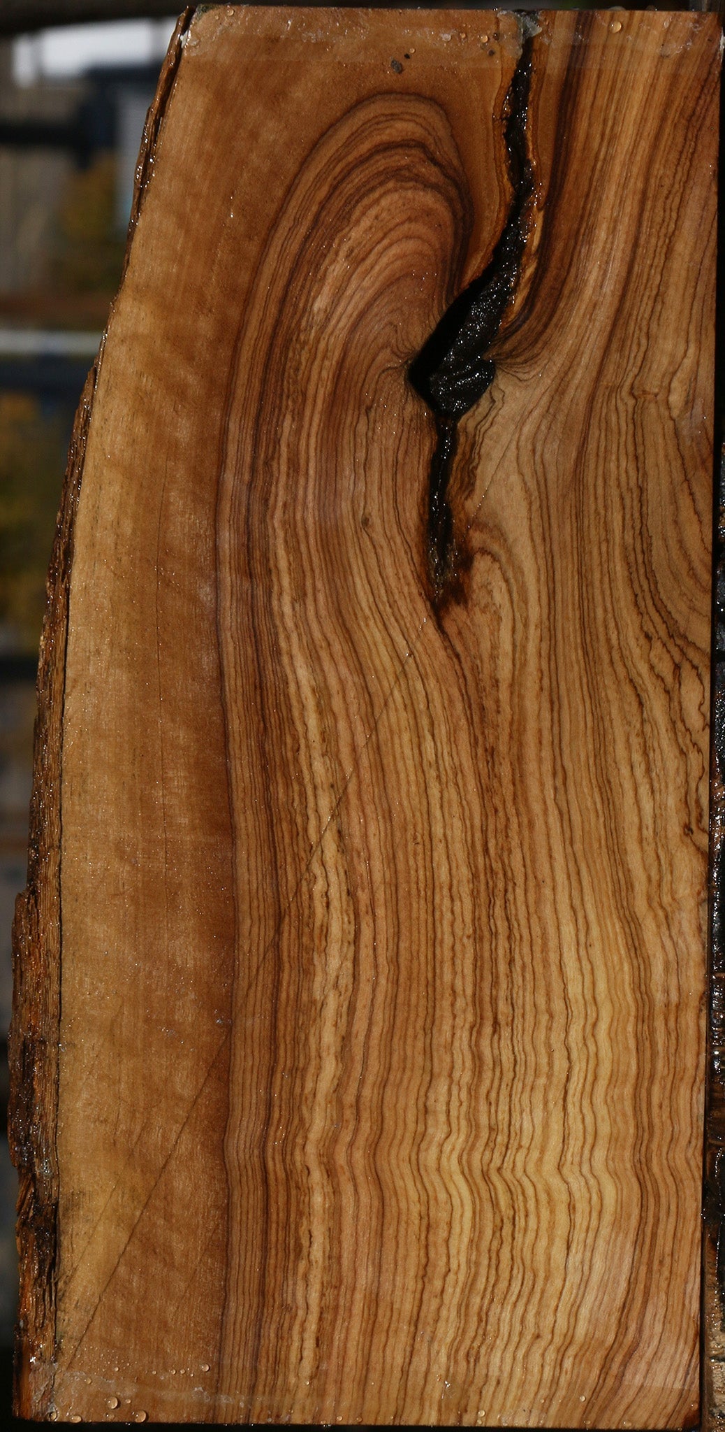 Figured African Olive Live Edge Lumber