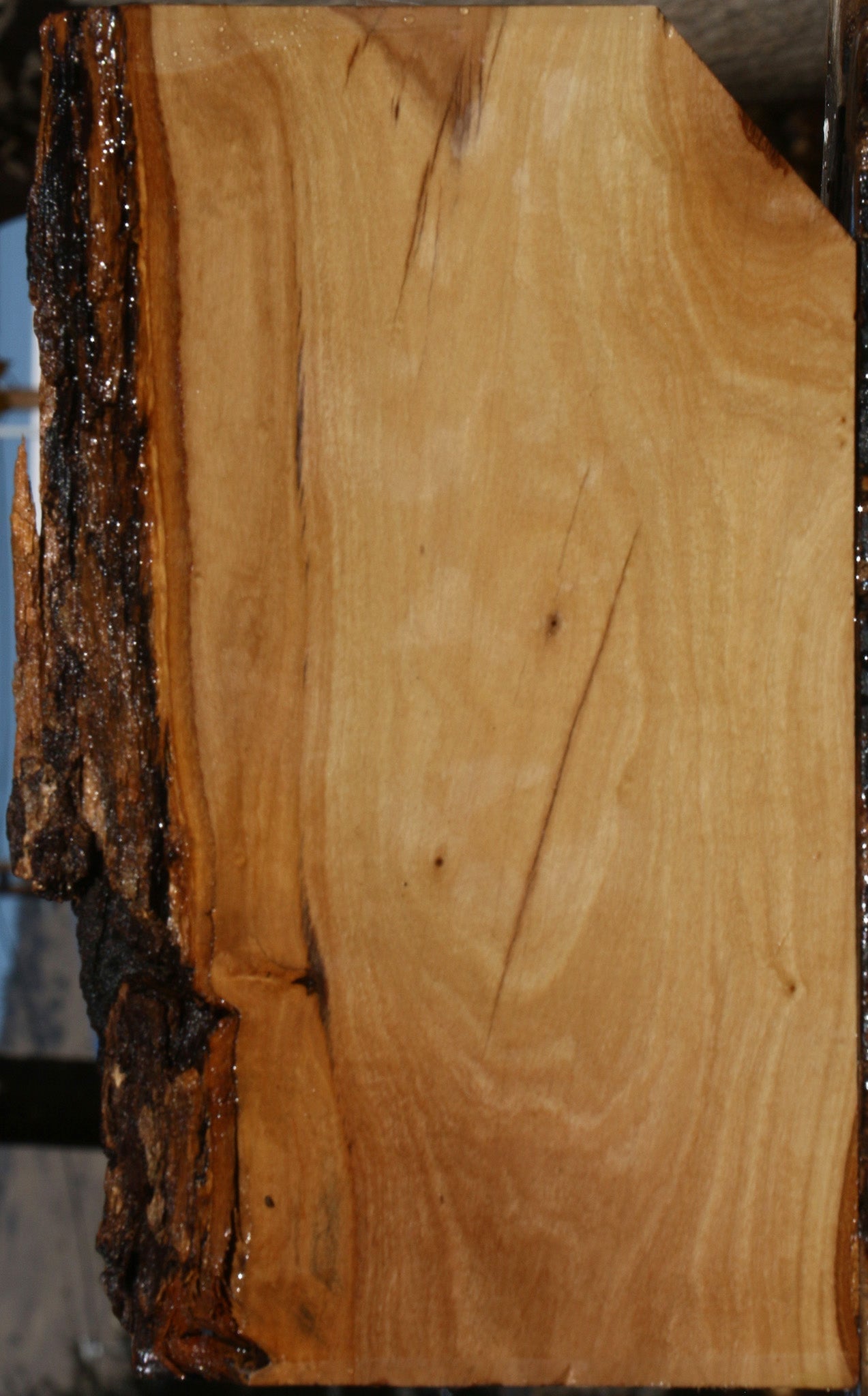 African Olive Live Edge Lumber