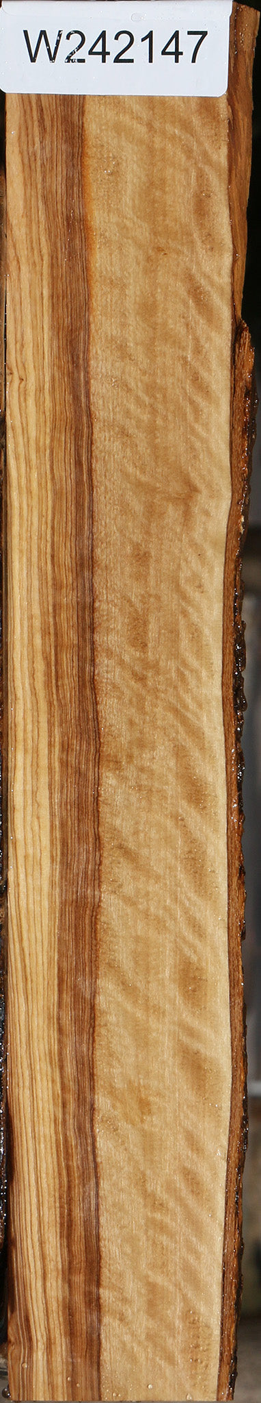 Figured African Olive Live Edge Lumber