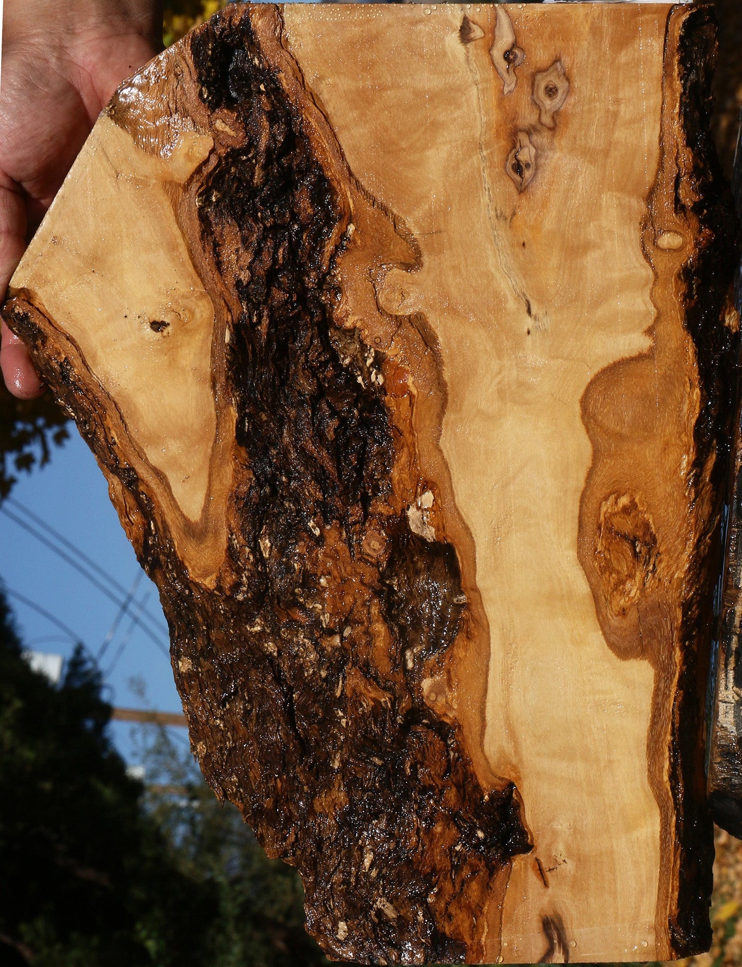 Figured African Olive Live Edge Micro Lumber