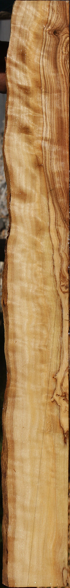 Figured African Olive Live Edge Lumber