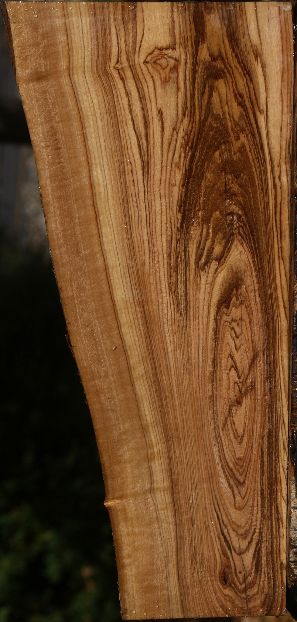 Figured African Olive Live Edge Lumber