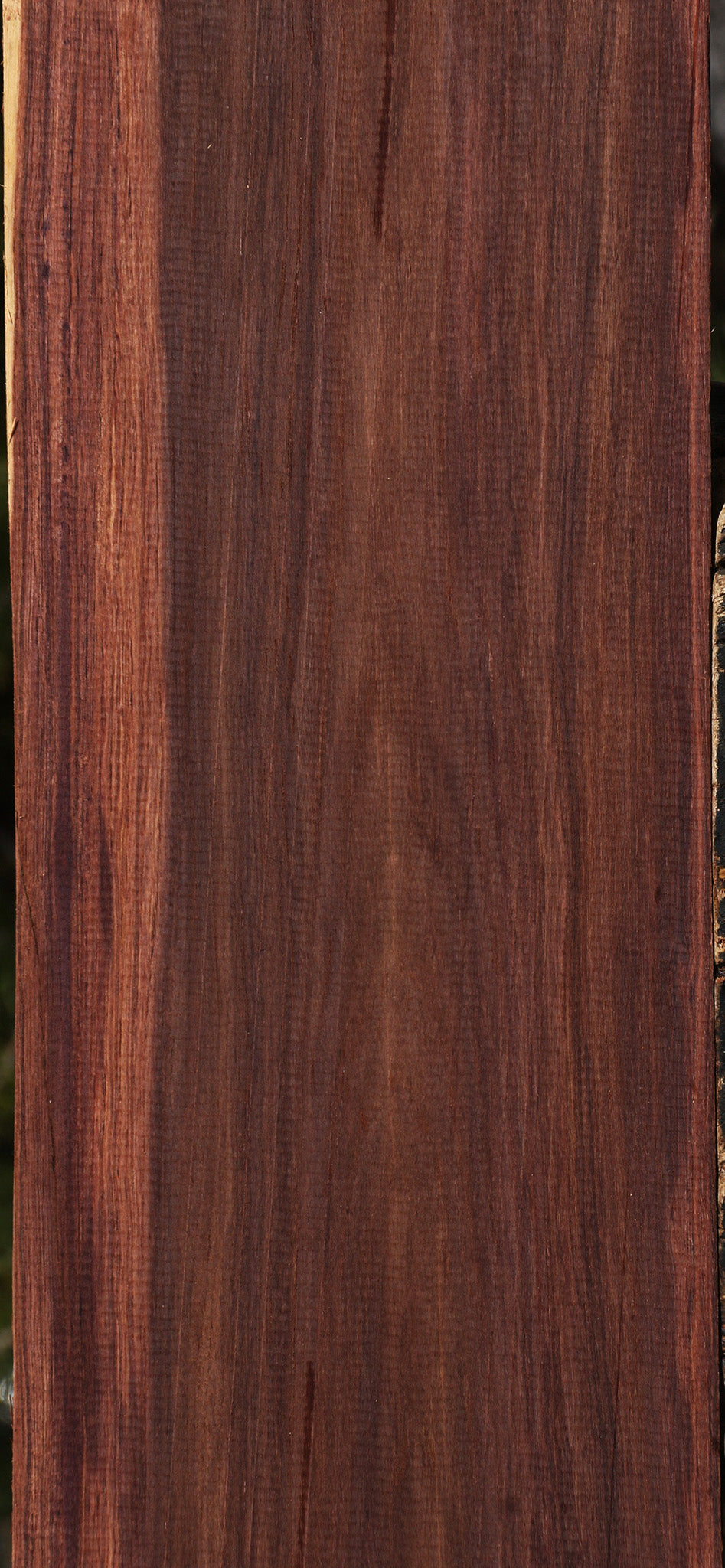 Madagascar Rosewood Instrument Lumber