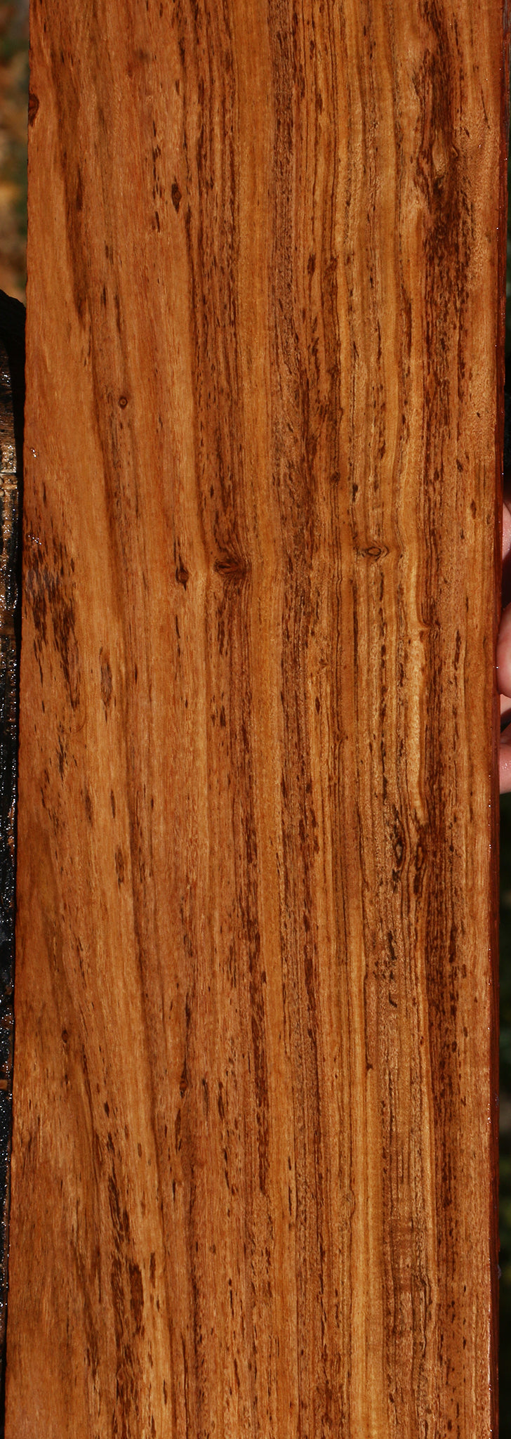 Figured Zambezi Teak Lumber