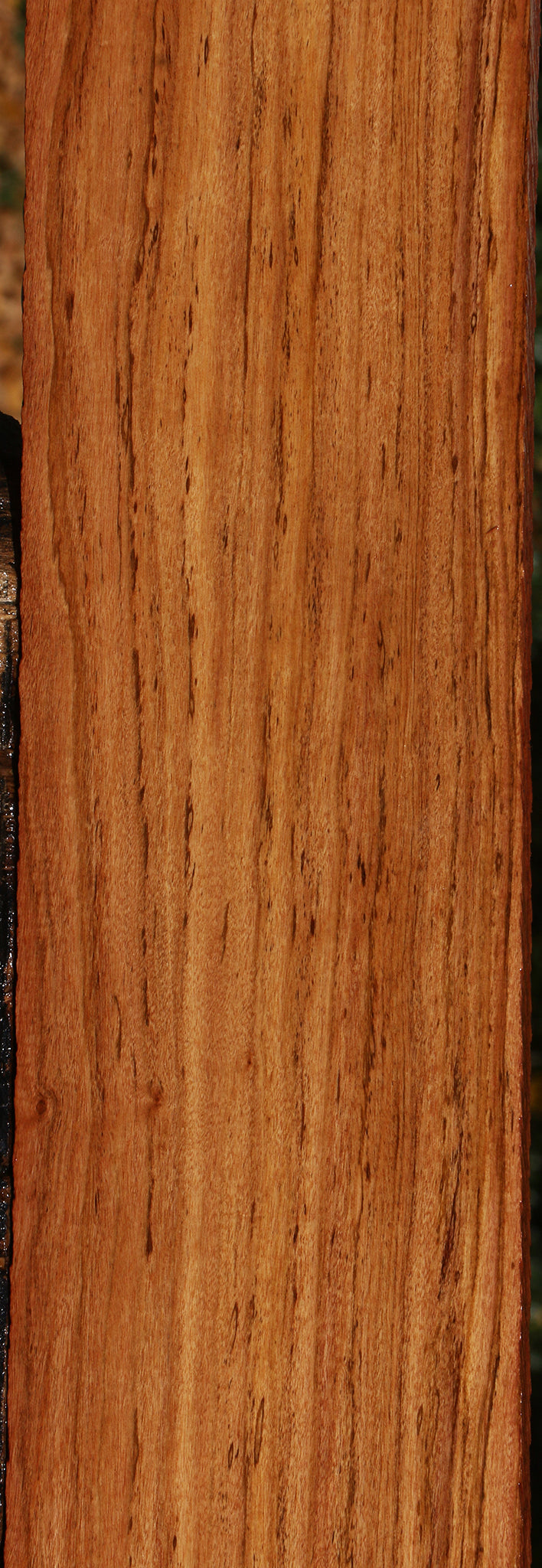 Zambezi Teak Lumber